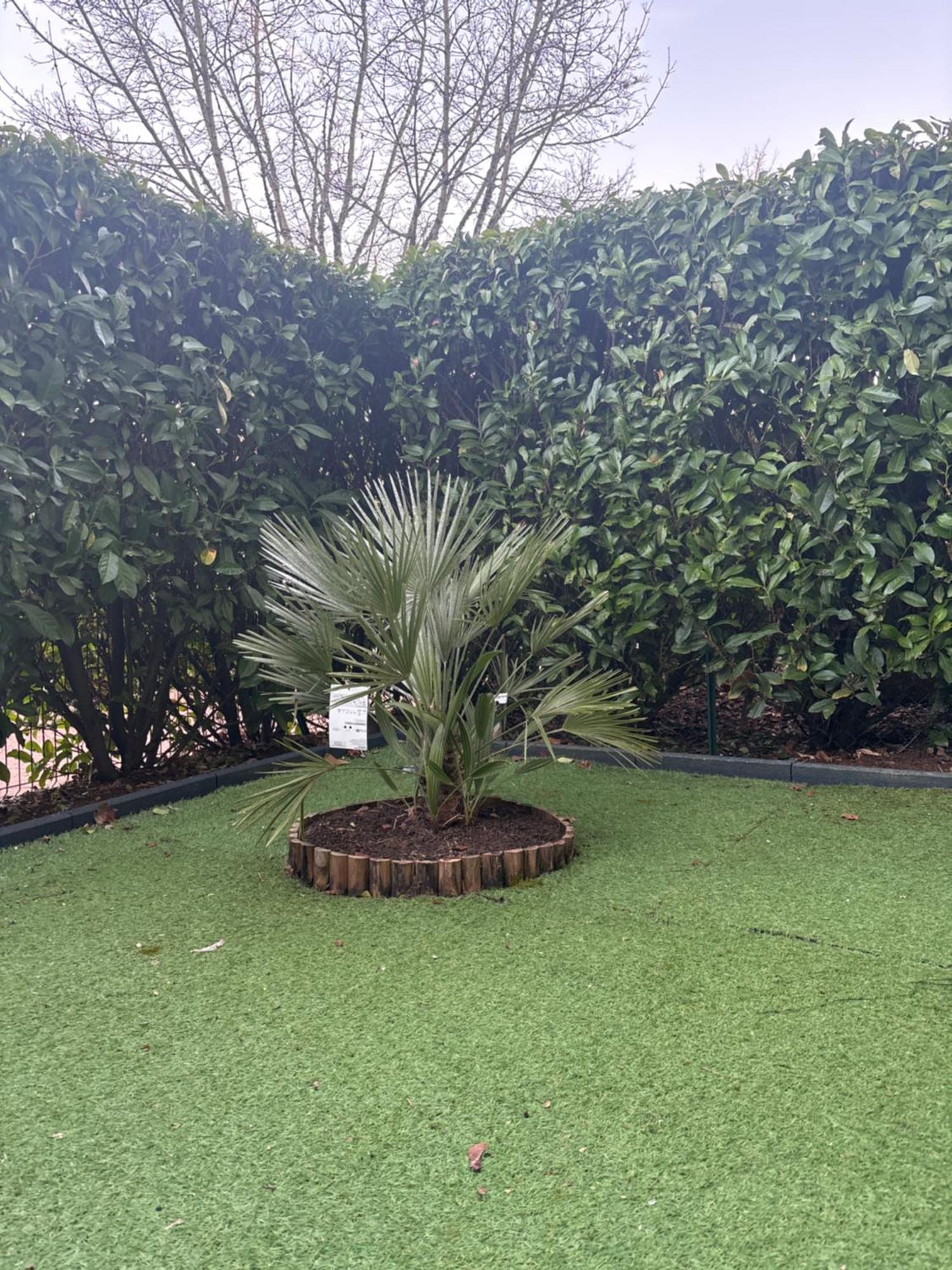Romantisme Et Glamour Avec Spa ,Jardin Proche Zenith Dijon Buitenkant foto